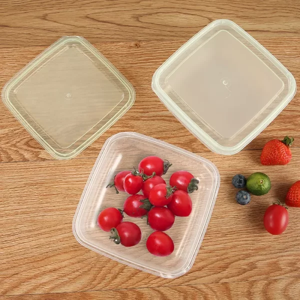 Bulk Square Food Containers Fctory Supplier (3)