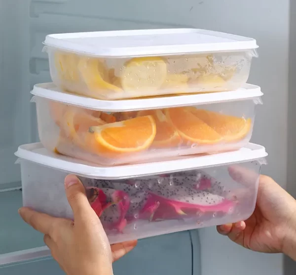 OEM Frozen Food Containers Wholesale (2)