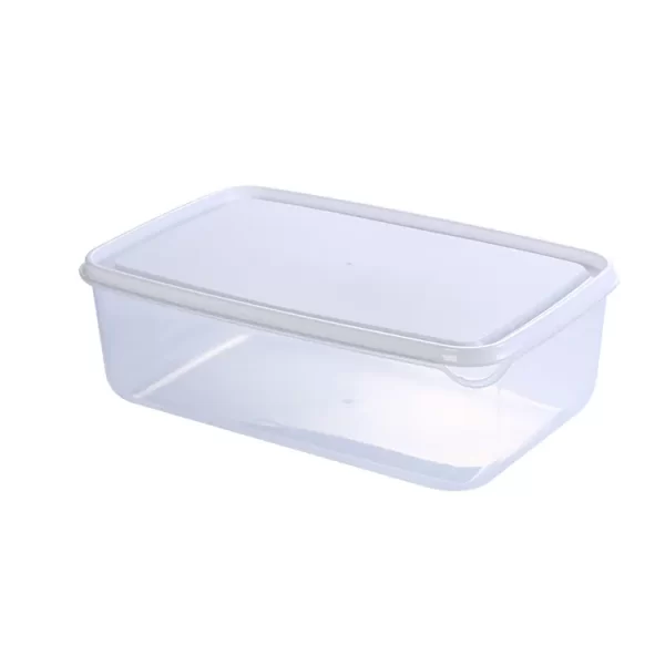 OEM Frozen Food Containers Wholesale (3)