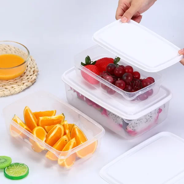 OEM Frozen Food Containers Wholesale