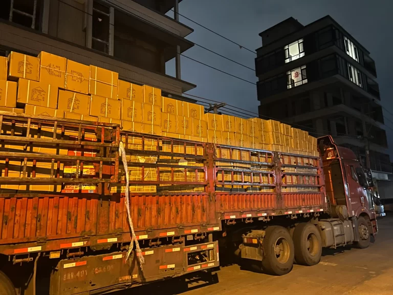 Plastic Food Container Manufacturer Ships Global Orders (4)