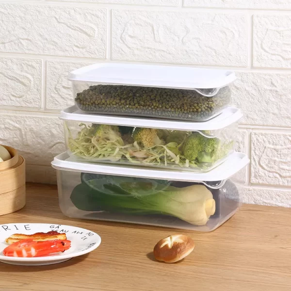Plastic Kitchen Food Container Bulk Factory (1)
